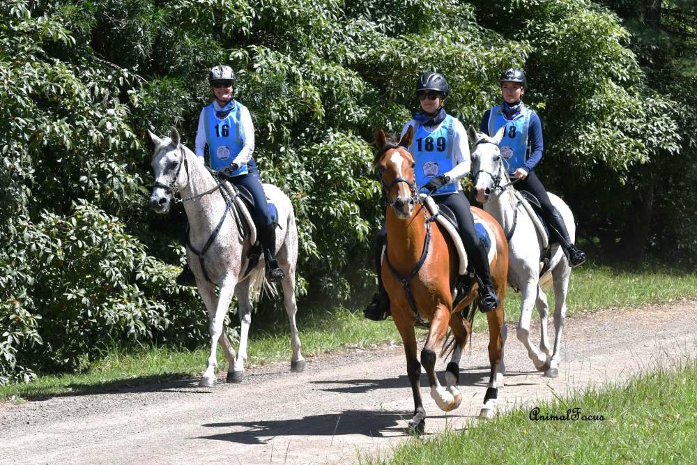 Endurance Riding 2025 Mt Lagoon