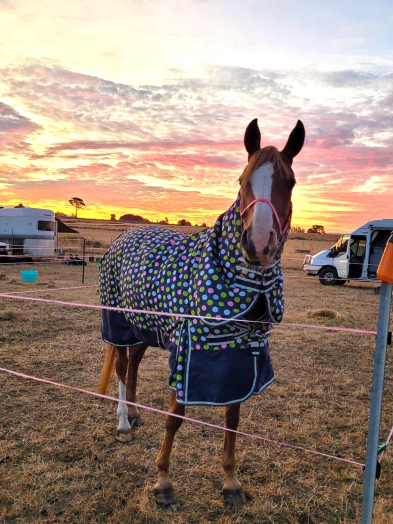 Endurance Riding 2025 Shoofly sunset