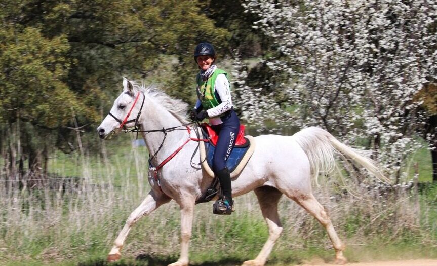 Endurance Riding 2025 Susan Woodward