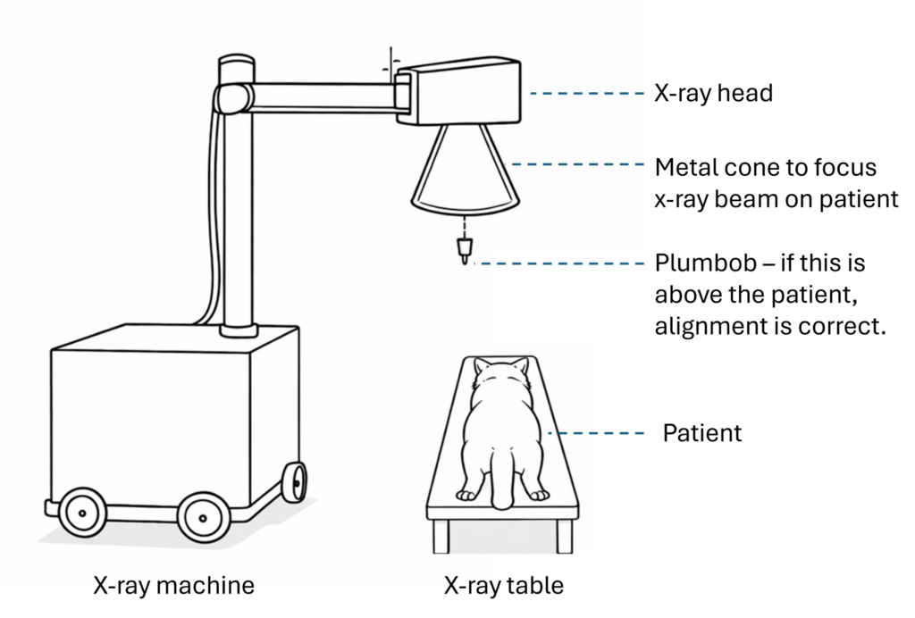 old style veterinary radiography