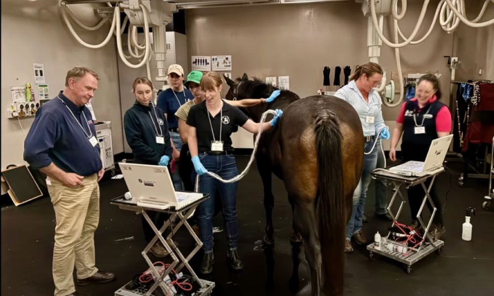 EVA Foundational Skills Workshop in UQ Gatton