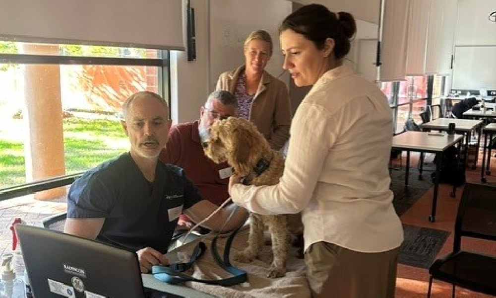 Dr Soren Boysen demonstrating on a live patient.