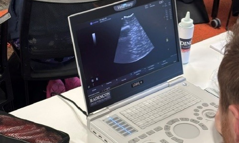 Hands-on ultrasound at the CVE VPOCUS workshop