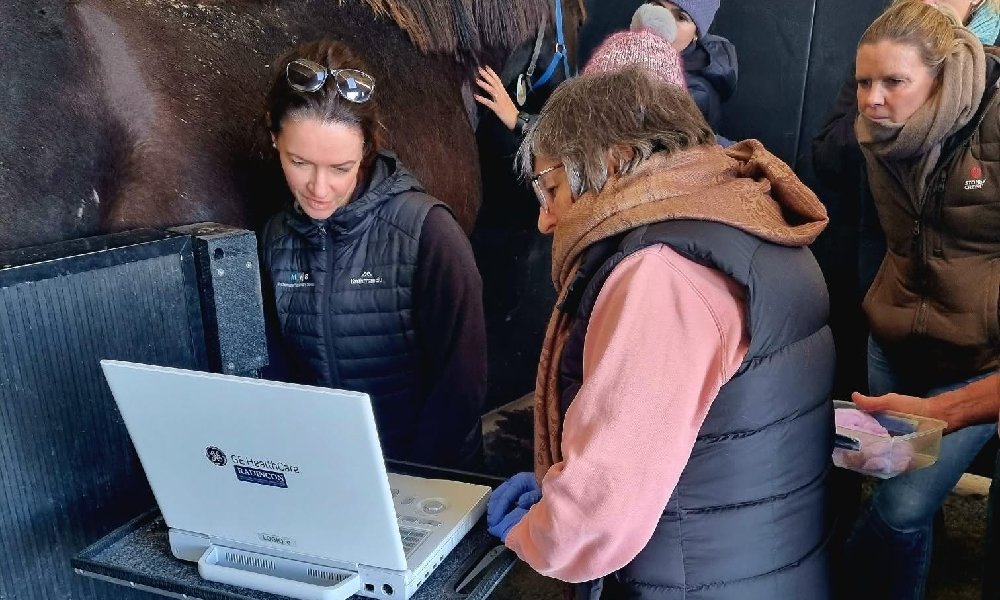 NZEVA High-Risk Pregnancies Workshop ultrasound