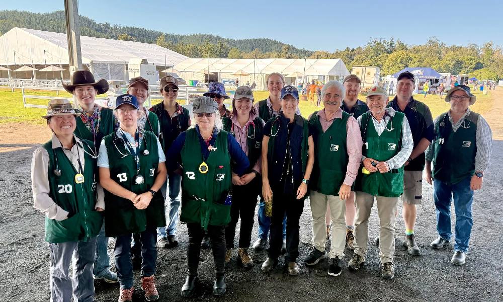 Tom Quilty 2026 Equine Hospital Vets